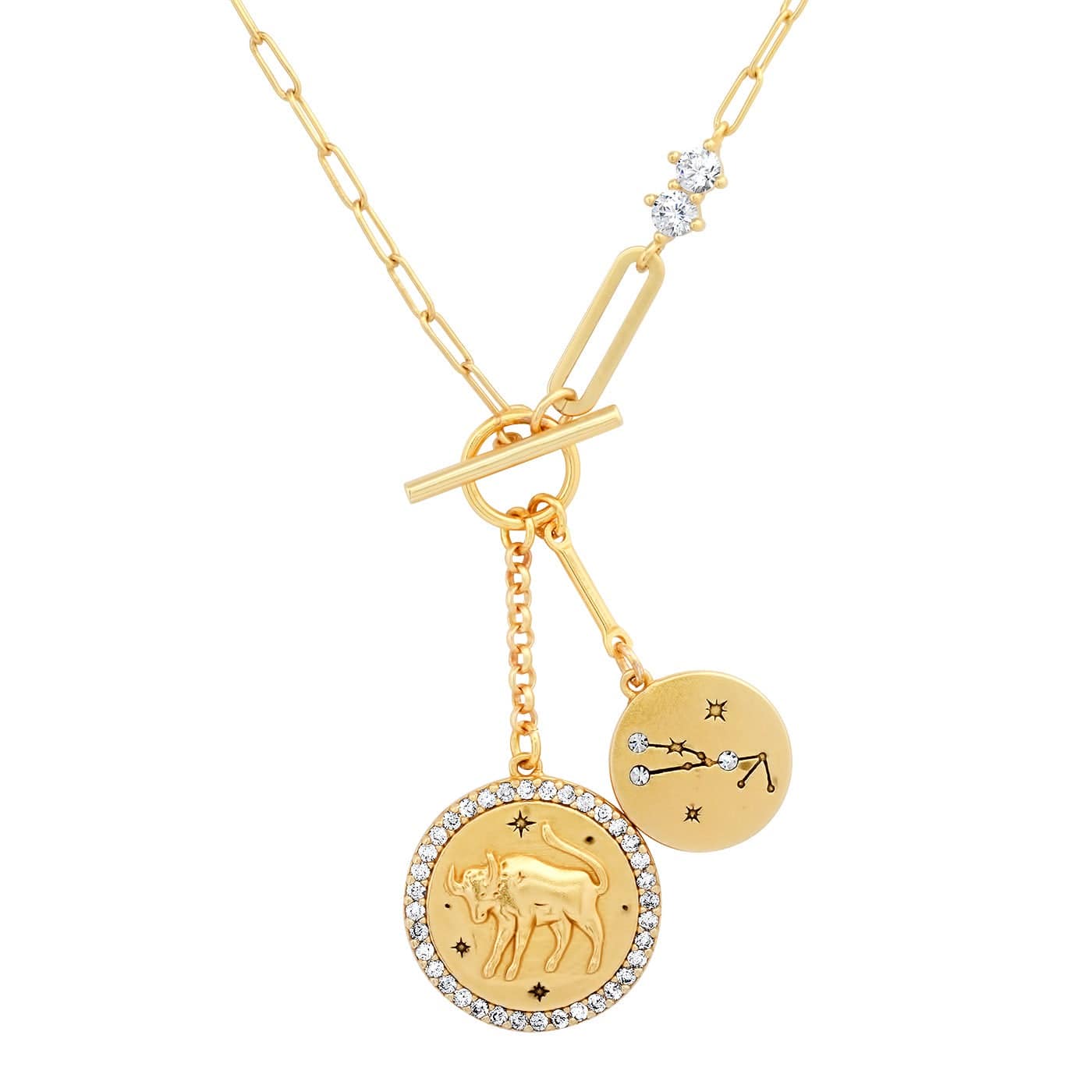 Double Coin Zodiac Necklace - Image 12