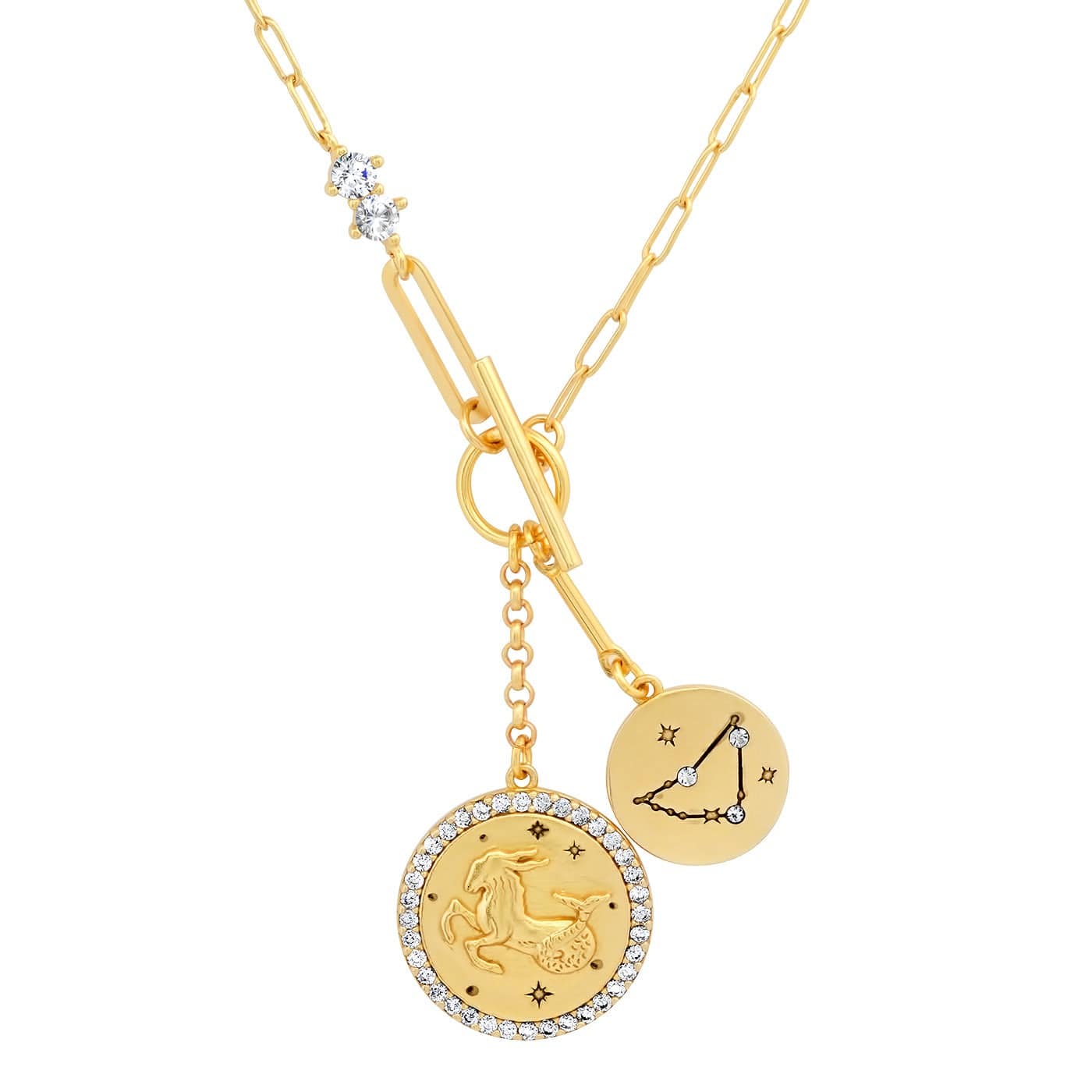 Double Coin Zodiac Necklace - Image 3