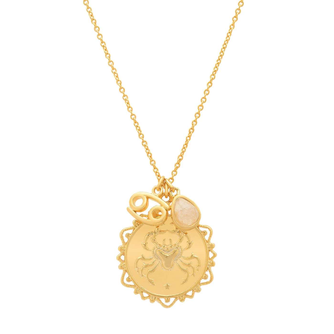 Zodiac Charm Necklace - Image 9